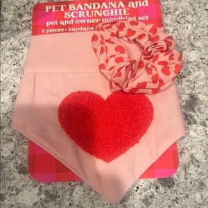 Pink Pet Bandana and Scrunchie Set with Red Hearts